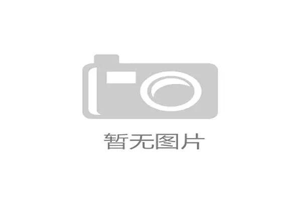 2026 世界杯志愿者心得：在达拉斯训练营服务的首批华人志愿者分享。